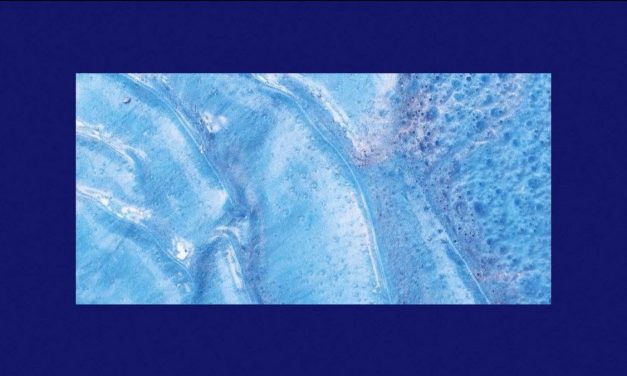 Fon Román presenta single: «IX», otro de los temas de «En Blanco».