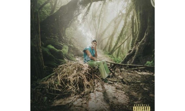 Myke Towers arrasa con su nuevo éxito mundial «La Falda».