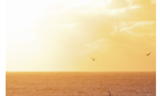 Vyperr lanza su nuevo single «Ooh La La» este 16 de agosto